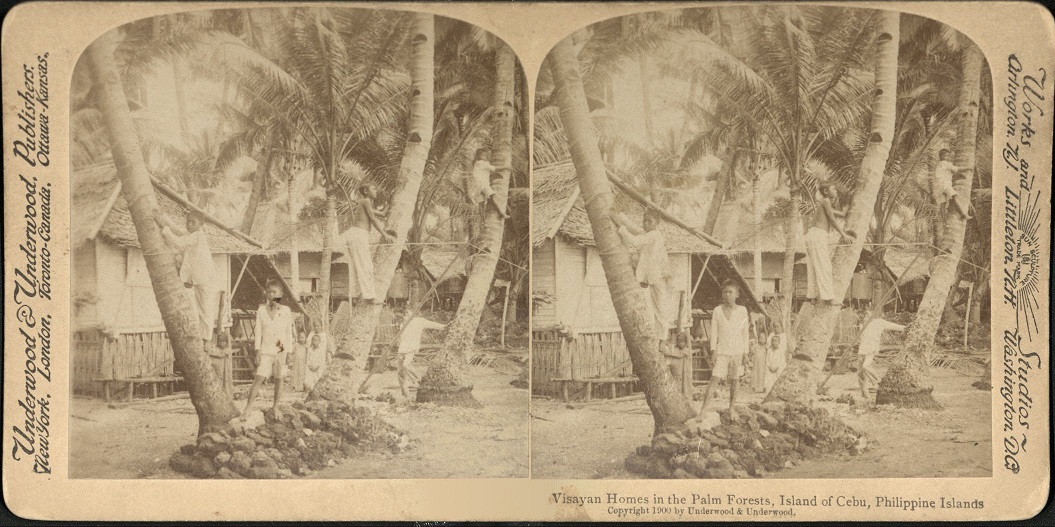 Visayan Homes in the Palm Forests, Island of Cebu, Philippine Islands..